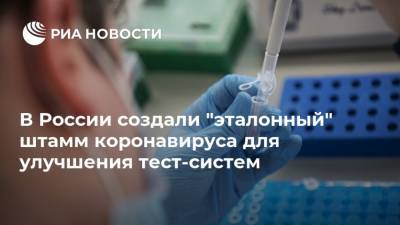 В России создали "эталонный" штамм коронавируса для улучшения тест-систем