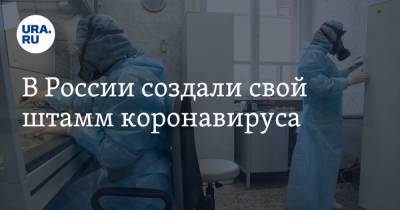 В России создали свой штамм коронавируса