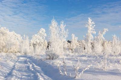 В Тверской области ожидается двадцатиградусный мороз
