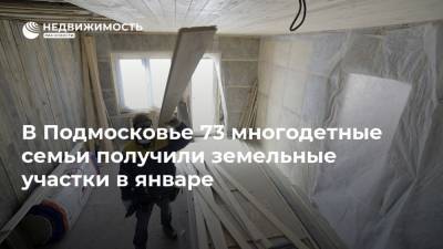 В Подмосковье 73 многодетные семьи получили земельные участки в январе