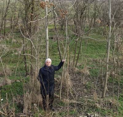 Ученый нашел в Крыму неизвестный ранее сорт дерева
