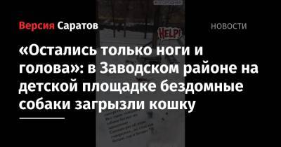 «Остались только ноги и голова»: в Заводском районе на детской площадке бездомные собаки загрызли кошку