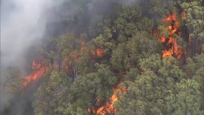 Сотни эвакуированных, десятки сгоревших домов: на западе Австралии бушуют пожары