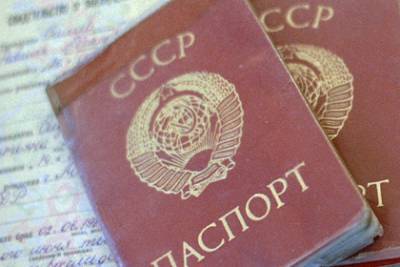 Пара россиян пыталась проникнуть в самолет по паспортам несуществующей страны