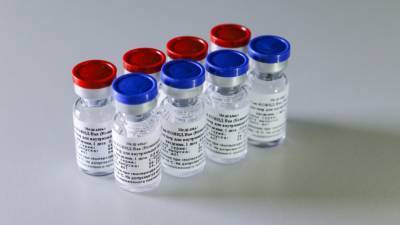 Ильдар Аляутдинов - Создатели "Спутника V" сообщили мусульманам о халяльности вакцины от коронавируса - newinform.com