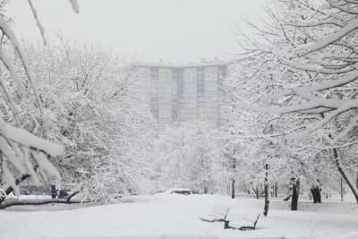 В Казани в конце недели обещают сильные морозы