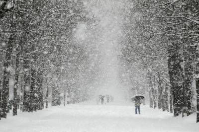 На Беларусь обрушился сильный снегопад