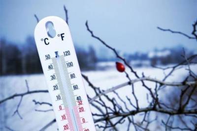 Синоптики отменили морозы в Ярославской области