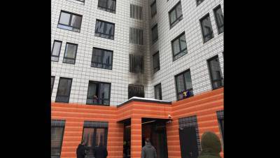 Пожар в жилом доме возник на юге Москвы