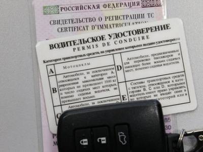 В Башкирии больше половины лишённых прав пьяных водителей не сдали документы в ГИБДД - ufatime.ru - Башкирия