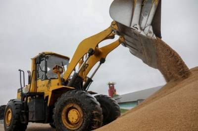 Механизм регулирования экспорта зерна из РФ заработает с апреля