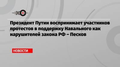 Президент Путин воспринимает участников протестов в поддержку Навального как нарушителей закона РФ – Песков