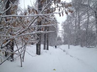 Снег, дождь и плюсовая температура – Башгидромет дал прогноз погоды на 5 февраля