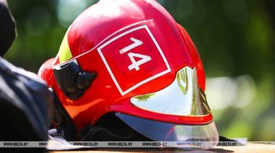 Обучение нигерийских специалистов противопожарной службы в Беларуси обсудили в Абудже