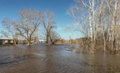 В МЧС рассказали о прогнозах по паводку в Тюменской области
