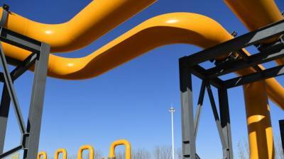 Власти Украины нарастили импорт газа в январе более чем в четыре раза
