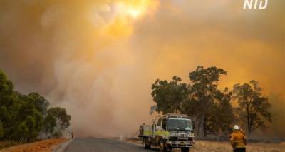 Лесные пожары в Австралии полыхают уже четвертый день - видео с места ЧП