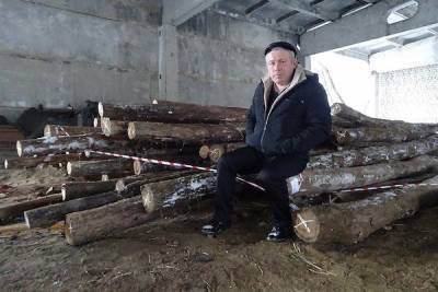 В Нижегородской области мужчине грозит 7 лет тюрьмы за незаконную вырубку деревьев
