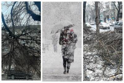 Повисшие ветки, кучи и грязь: как выглядит Одесса после снежной бури, кадры
