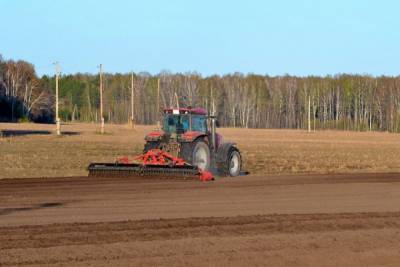 Украинские аграрии активно покупают тракторы: какие и сколько