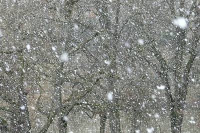 Владимирские синоптики предупреждают о надвигающемся снегопаде