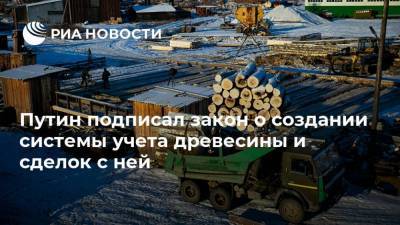 Путин подписал закон о создании системы учета древесины и сделок с ней