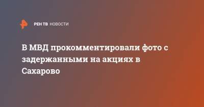 В МВД прокомментировали фото с задержанными на акциях в Сахарово - ren.tv - деревня Сахарово