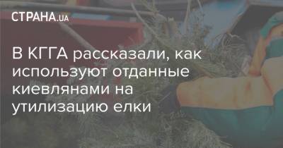 В КГГА рассказали, как используют отданные киевлянами на утилизацию елки