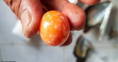 Нищий рыбак из Таиланда нашел редчайшую оранжевую жемчужину стоимостью в 300 тысяч долларов