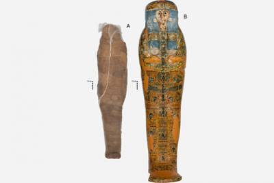 Раскрыта неожиданная тайна кокона древнеегипетской мумии