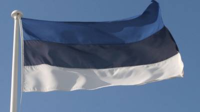Эстонские дипломаты заявили, что РФ нарушила воздушное пространство страны