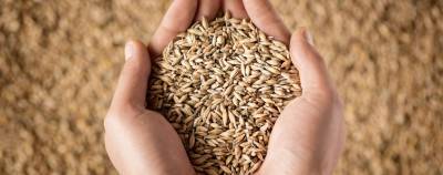 С 1 апреля в России заработает механизм регулирования экспорта зерна