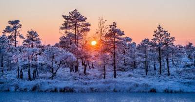 В пятницу ожидается снегопад, в восточной Латвии температура опустится до -16 градусов