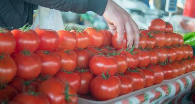 Россельхознадзор снимает ограничения на ввоз томатов с 13 предприятий Армении