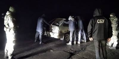 В Волновахском районе задержана банда черных лесорубов, они причинили миллионный ущерб, фото - ТЕЛЕГРАФ