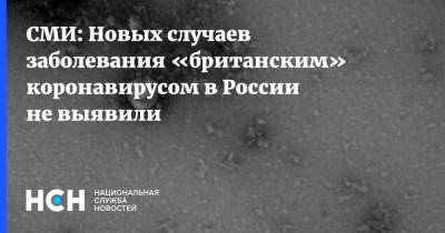СМИ: Новых случаев заболевания «британским» коронавирусом в России не выявили