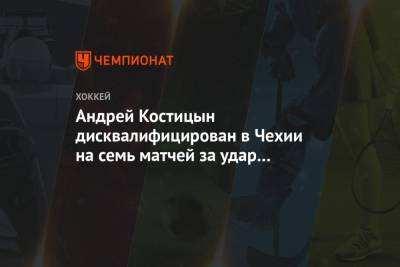 Андрей Костицын дисквалифицирован в Чехии на семь матчей за удар в голову