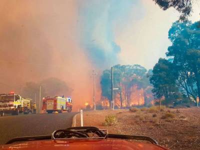 В Австралии бушуют мегапожары (фото)