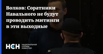 Волков: Соратники Навального не будут проводить митинги в эти выходные