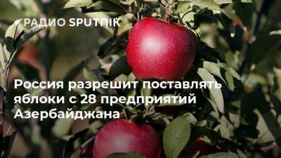 Россия разрешит поставлять яблоки с 28 предприятий Азербайджана
