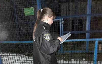Тигр загрыз сотрудника зоопарка в Черниговской области