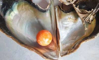 Бедный рыбак нашел уникальную жемчужину, оцененную в 300 тысяч долларов, в Таиланде (фото)