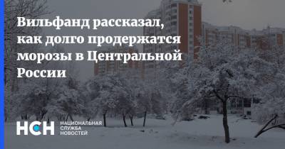 Вильфанд рассказал, как долго продержатся морозы в Центральной России