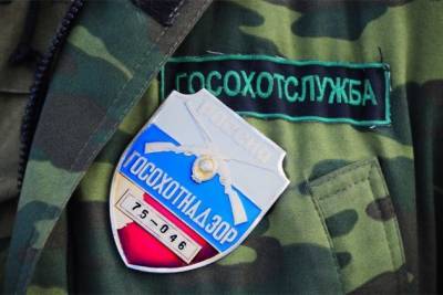 Бывшего военнослужащего в Забайкалье осудили за наезд на охотинспектора