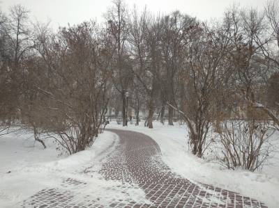Оттепель перед морозами. Погода в Ульяновской области 5 февраля