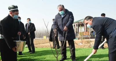 Эмомали Рахмон принял участие в церемонии возведения интенсивного сада «Боги миллии Вахдат»