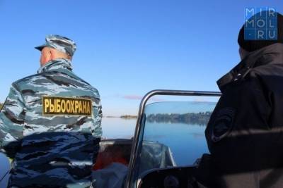 В Дагестане выявлено более 3 тысяч нарушений в сфере рыболовства