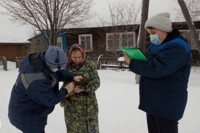 В Костромской области домашних животных бесплатно прививают от бешенства