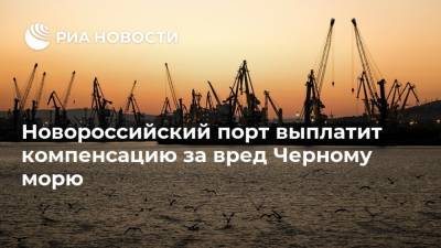 Новороссийский порт выплатит компенсацию за вред Черному морю
