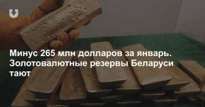 Минус 265 млн долларов за январь. Золотовалютные резервы Беларуси тают